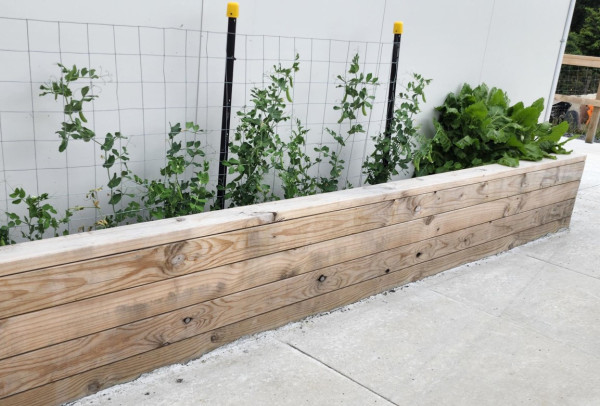 socialoutcomes snellsvegegarden